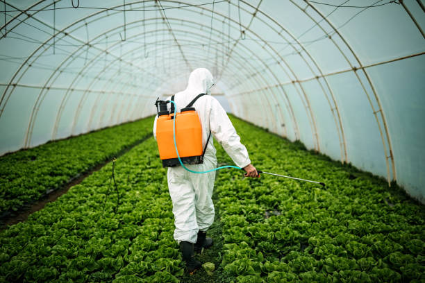 Best Insect Control  in Blaine, WA