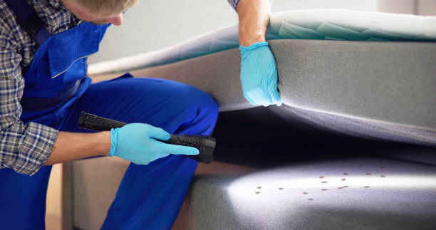 Best Mosquito Control Services  in Blaine, WA