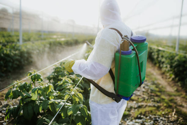 Best Pest Control Near Me  in Blaine, WA